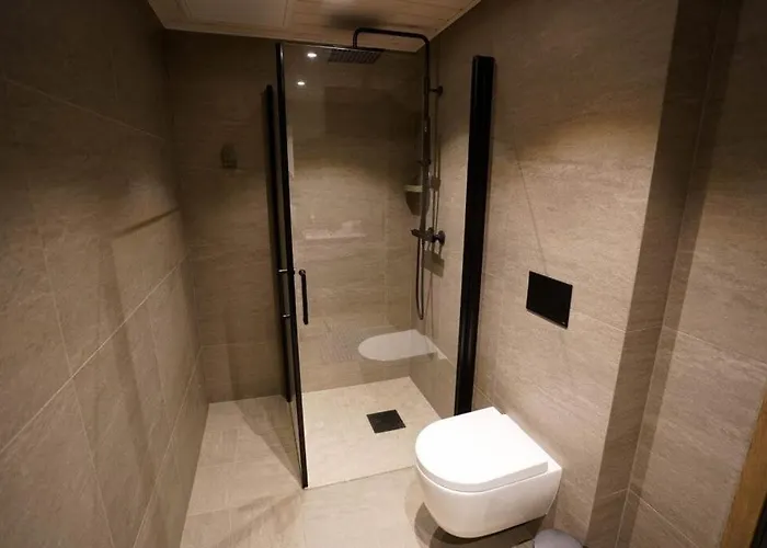 Apartament Mountain View 201 *